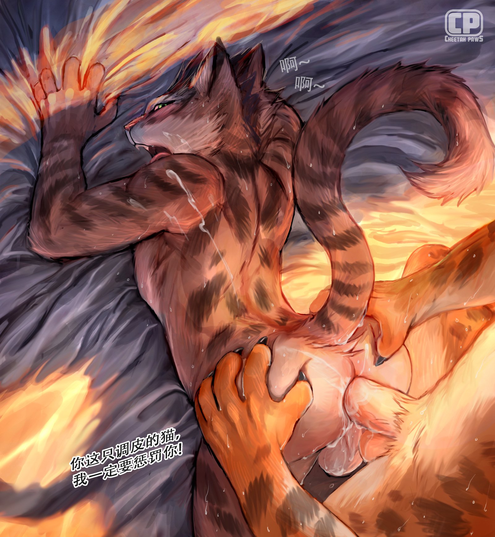 猫地師2017年12月パッケージ特典