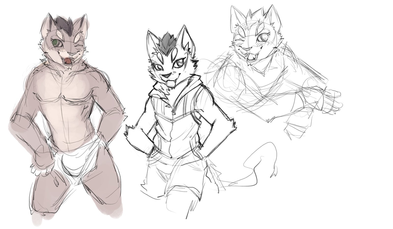 猫地師2017年12月パッケージ特典