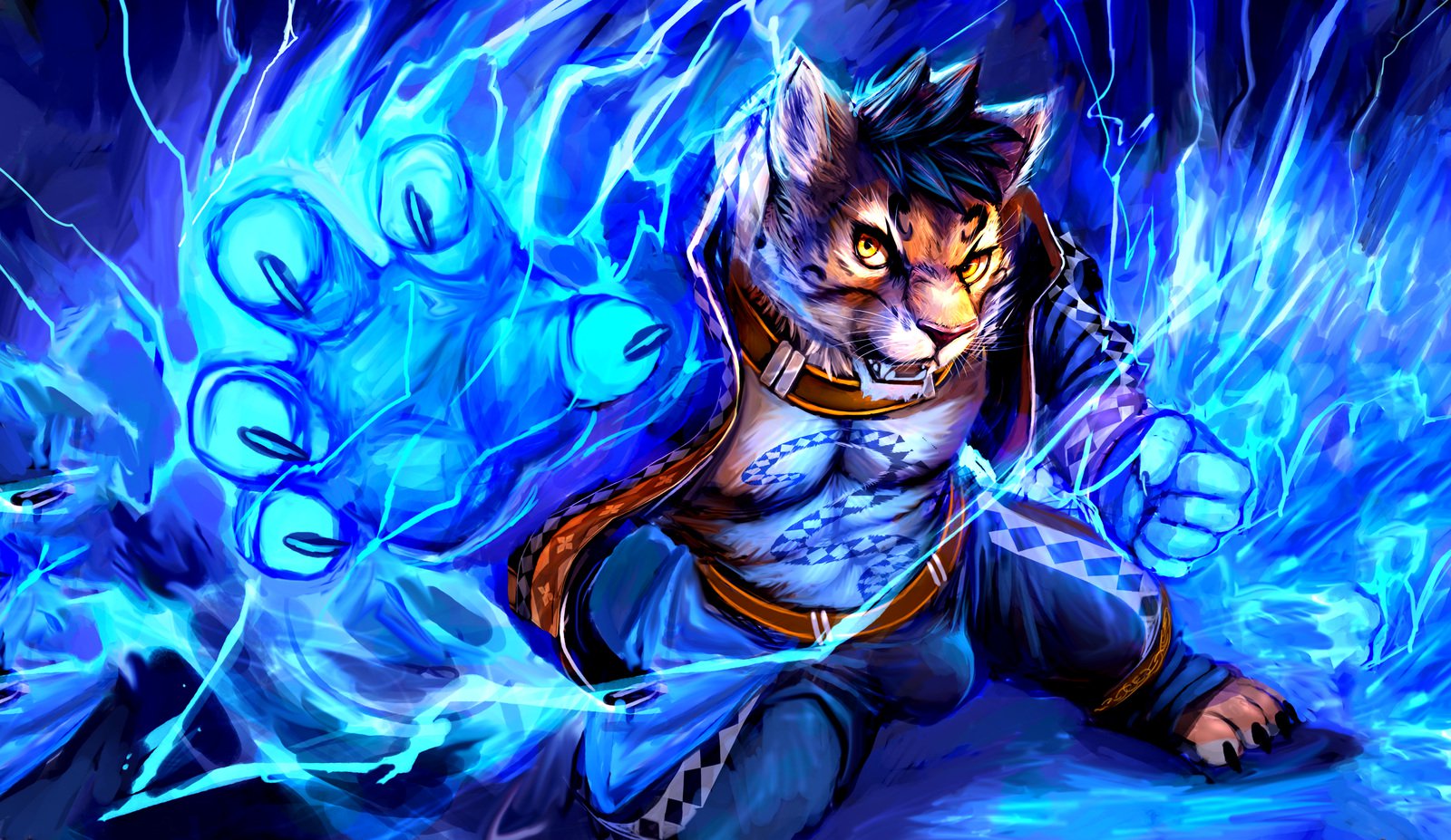 猫地師2017年12月パッケージ特典