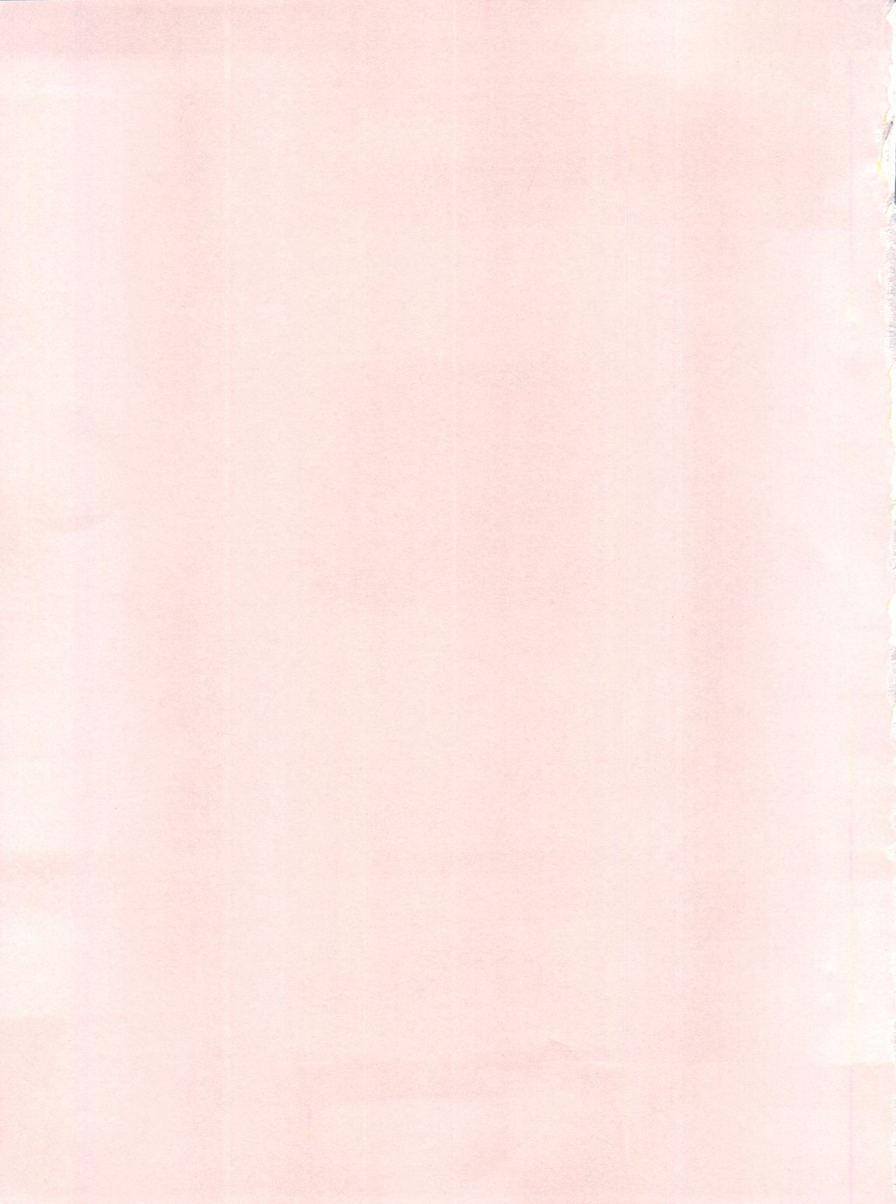 【ピンクマカダミアンPINKMACADAMIANVol。 2 【ピンクマカダミアンPINKMACADAMIANVol。 2