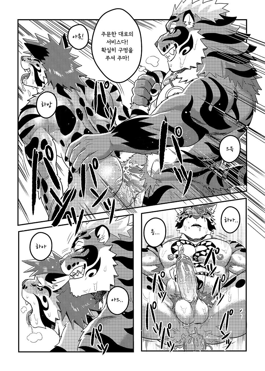 ねこじしEXTRA | 네코지시EXTRA