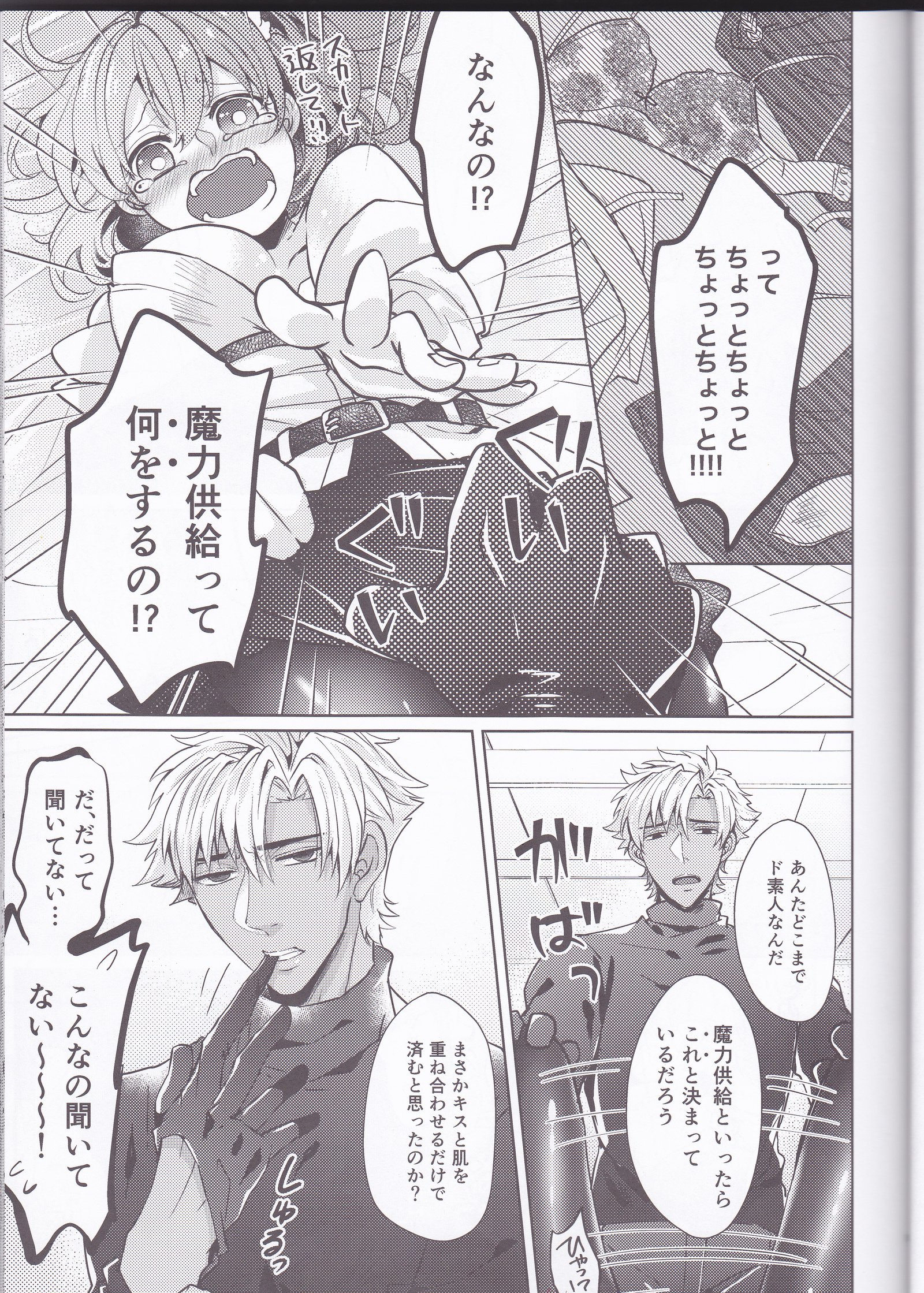 暗殺者衛宮切嗣の夢をミルカ