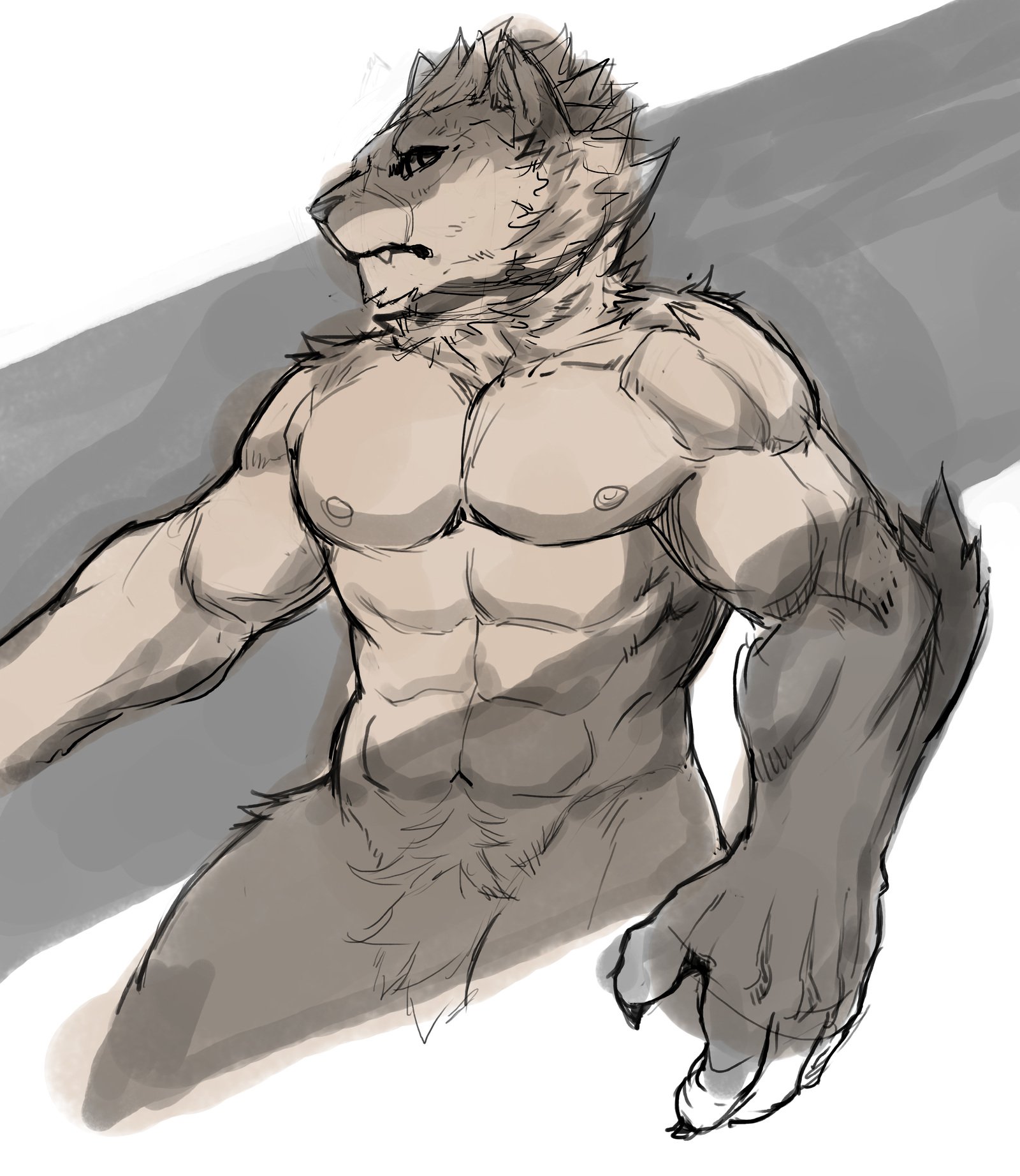 猫地師2018年2月パッケージ特典