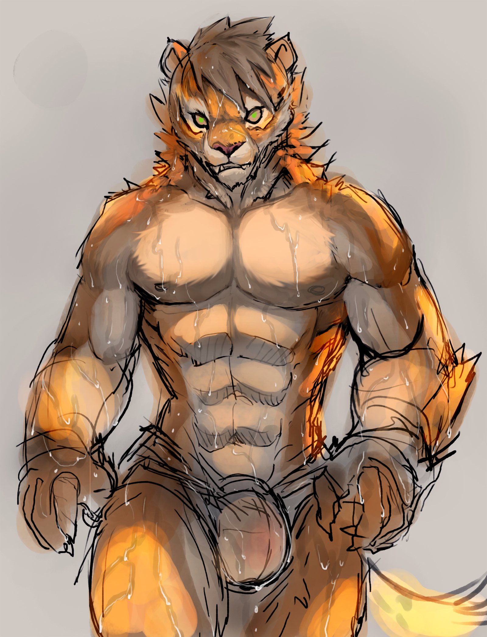 猫地師2018年2月パッケージ特典