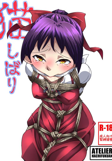 ネコ制限 ネコ制限