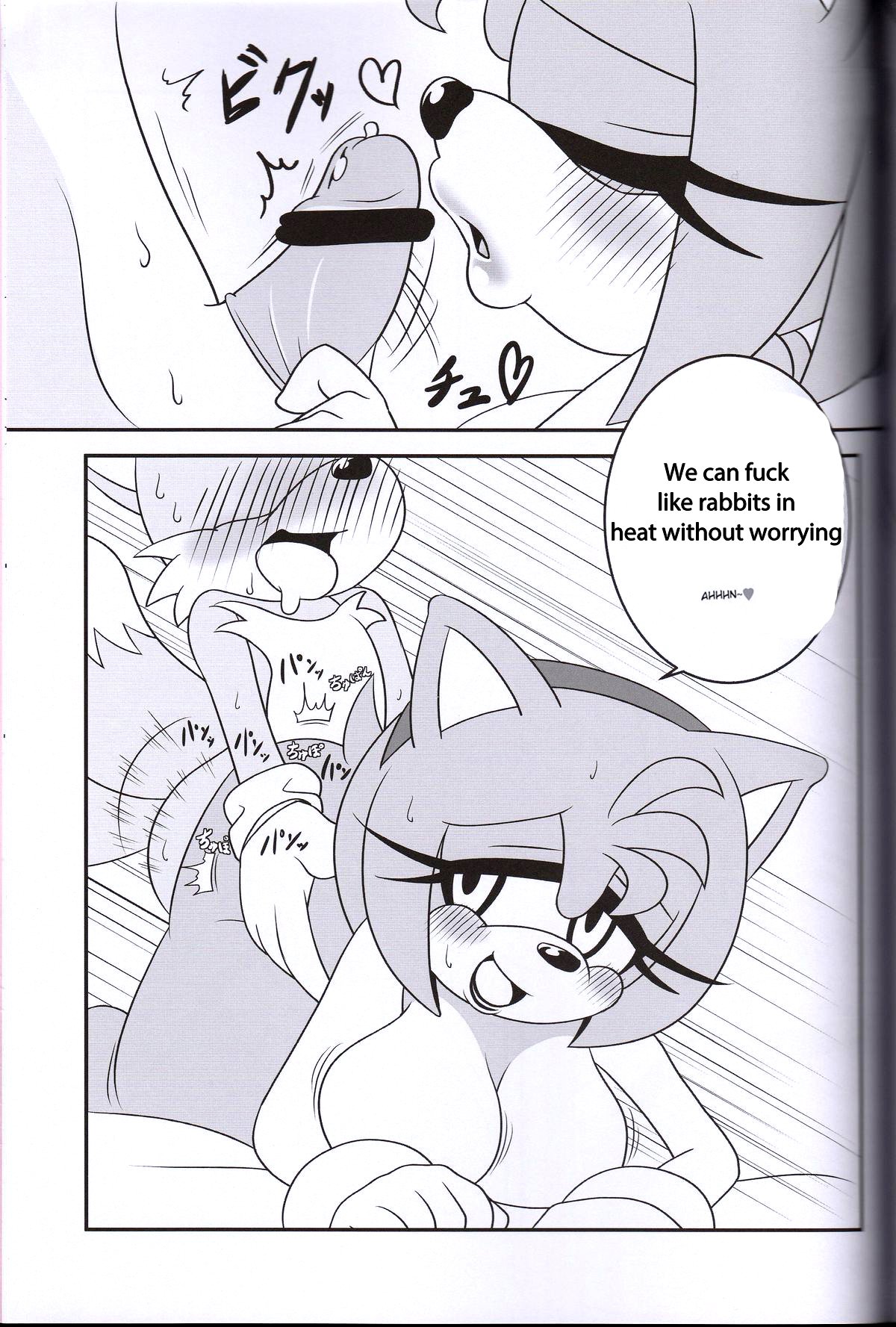 けもののかんずめ3