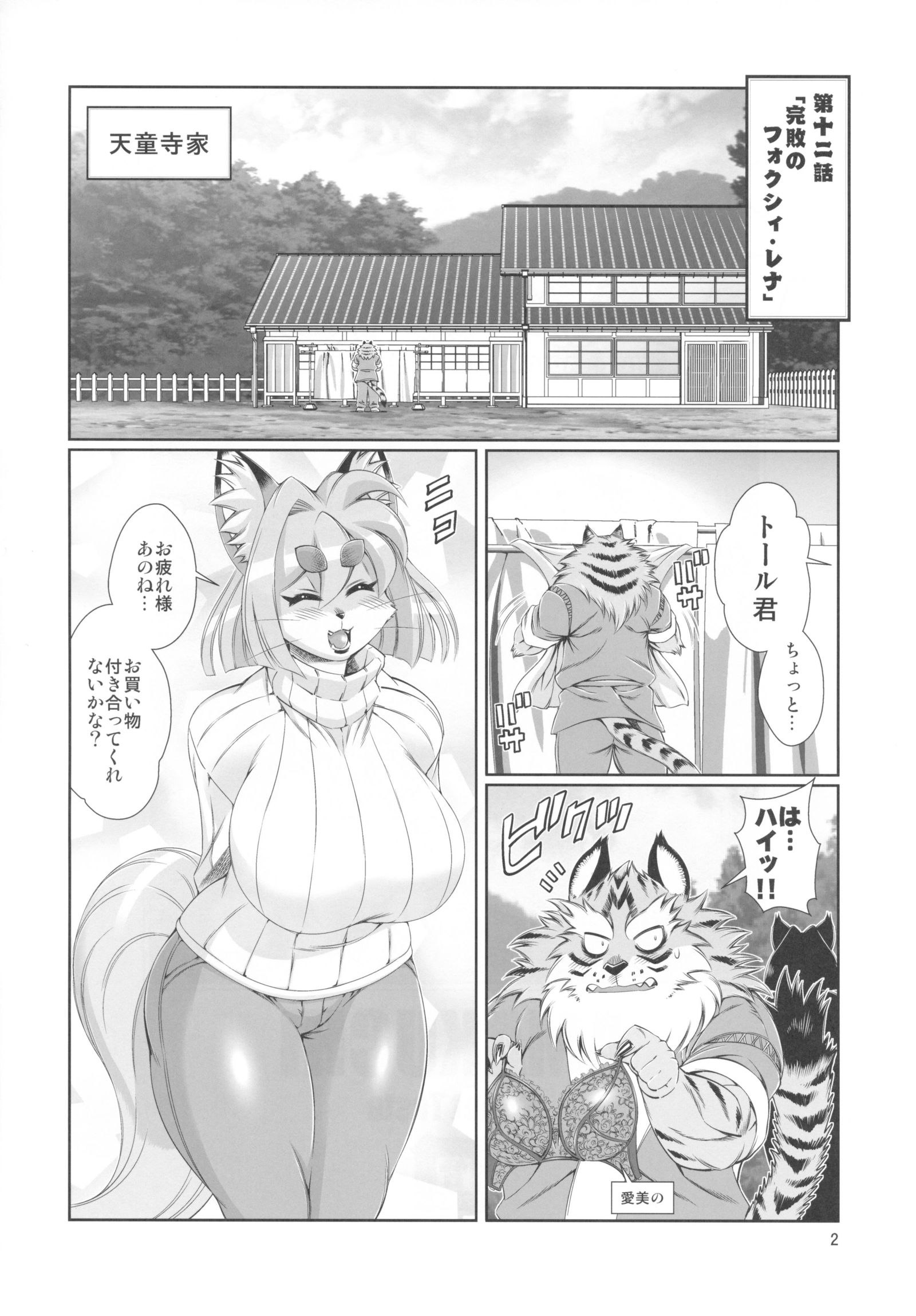 まほうのじゅうじんフォクシーレナ12