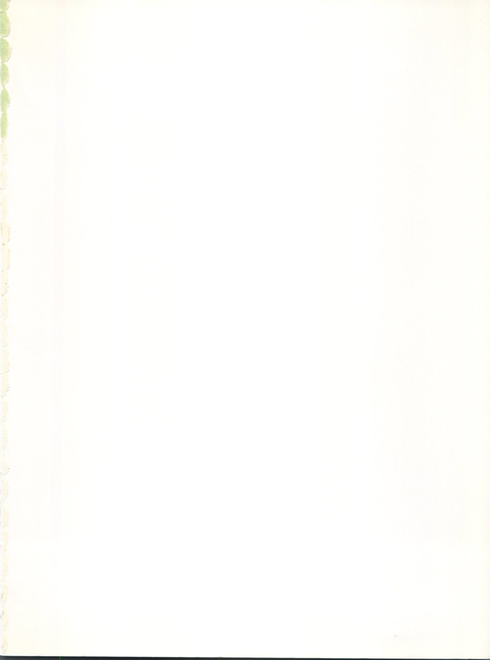 デリシャスファーストステージ