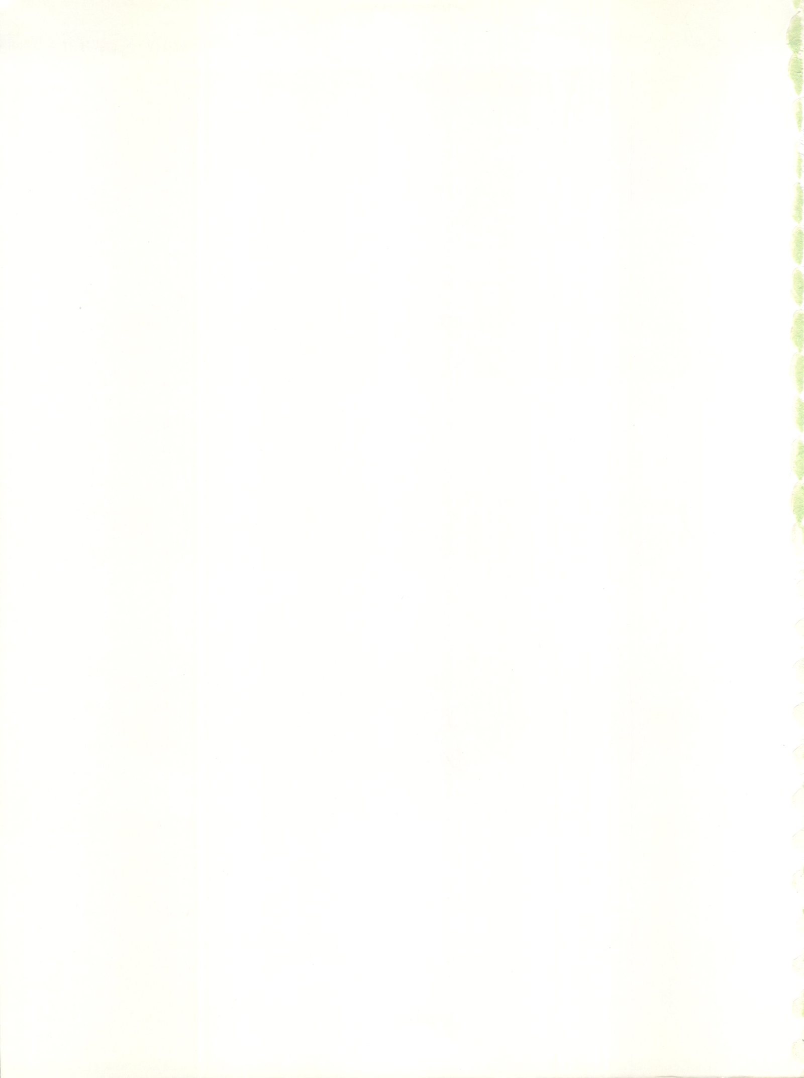 デリシャスファーストステージ