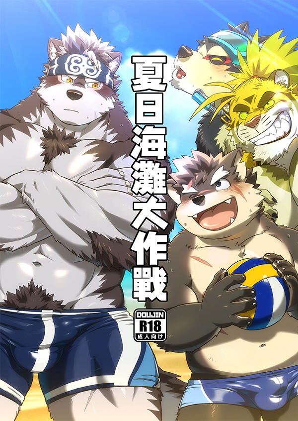 サマービーチバトル|夏日海灘大作戰