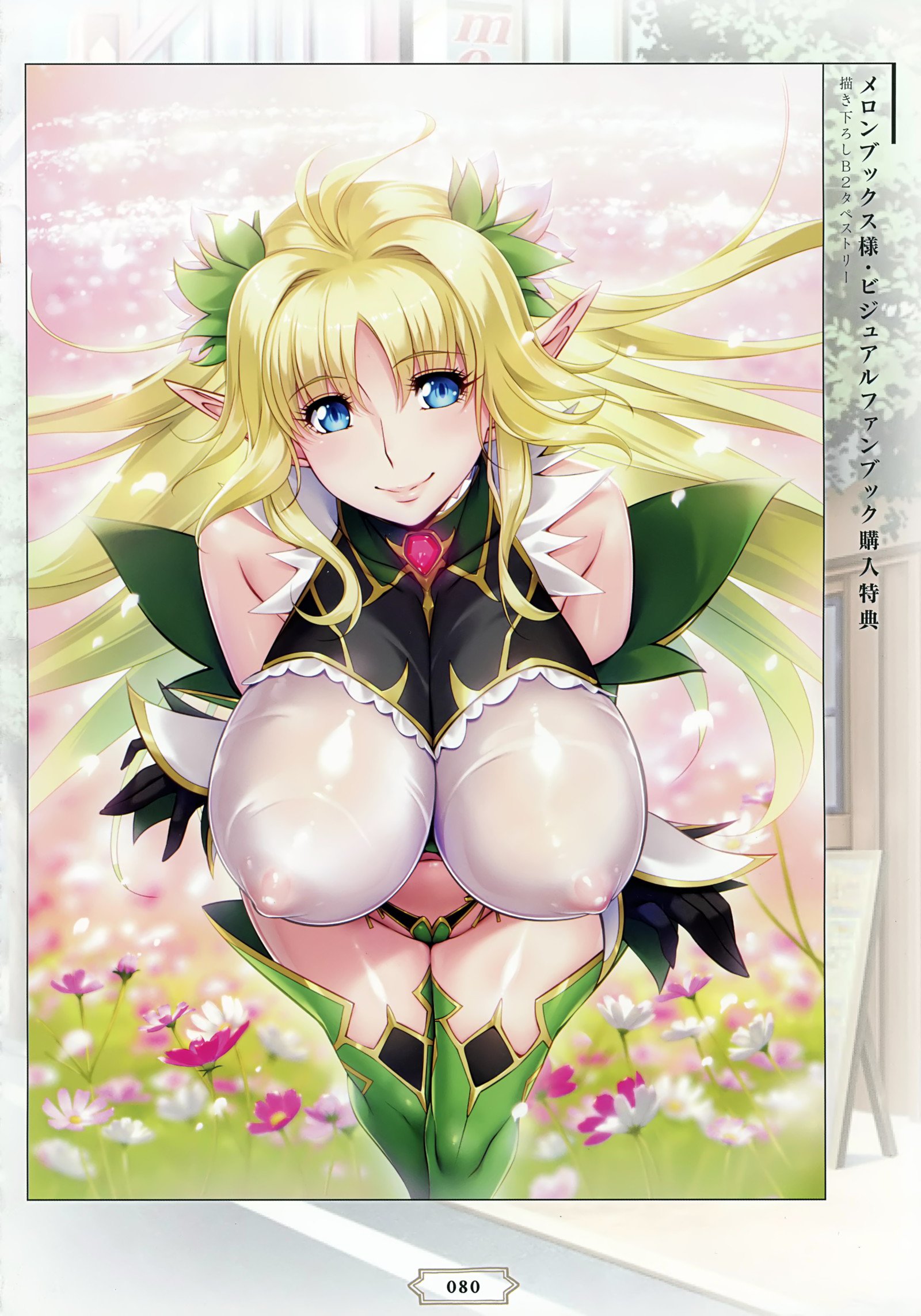 ようこそう！助部エルフの森eビジュアルファンブック