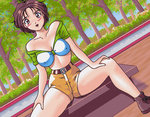 GRA-PROレトロDoujinCGセット