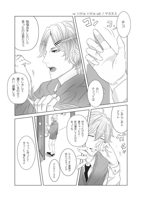 私の小さなlittlr猫 私の小さなlittlr猫