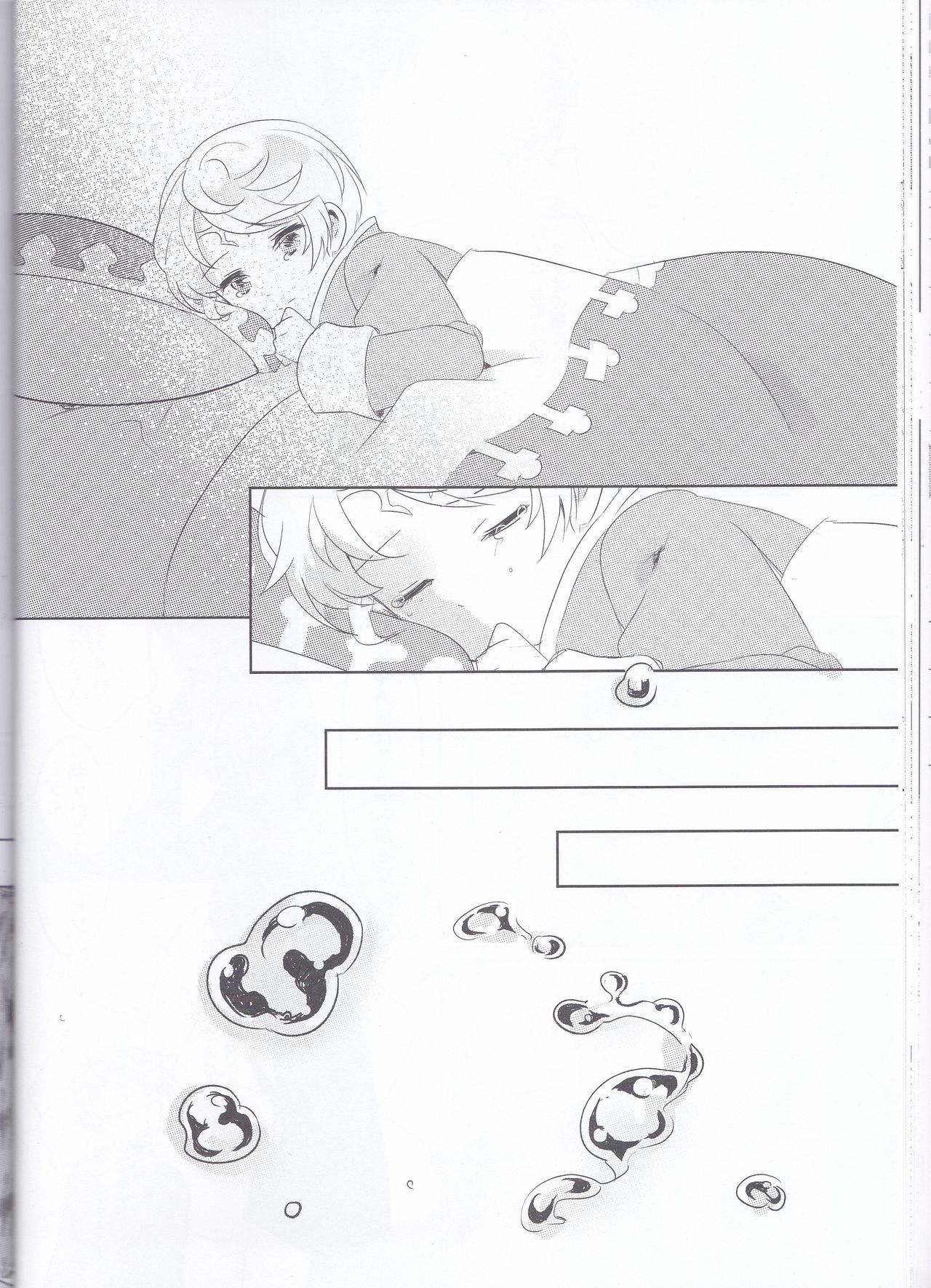 早崎のブーゲンビリア