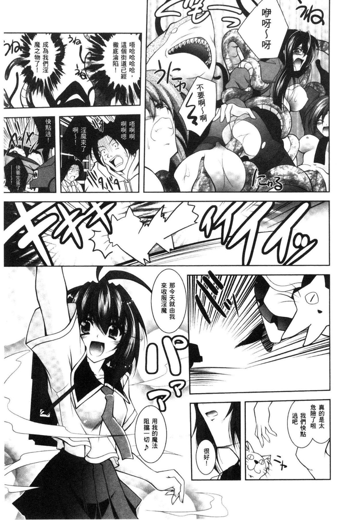 堕ちた正義-失墜聖技-