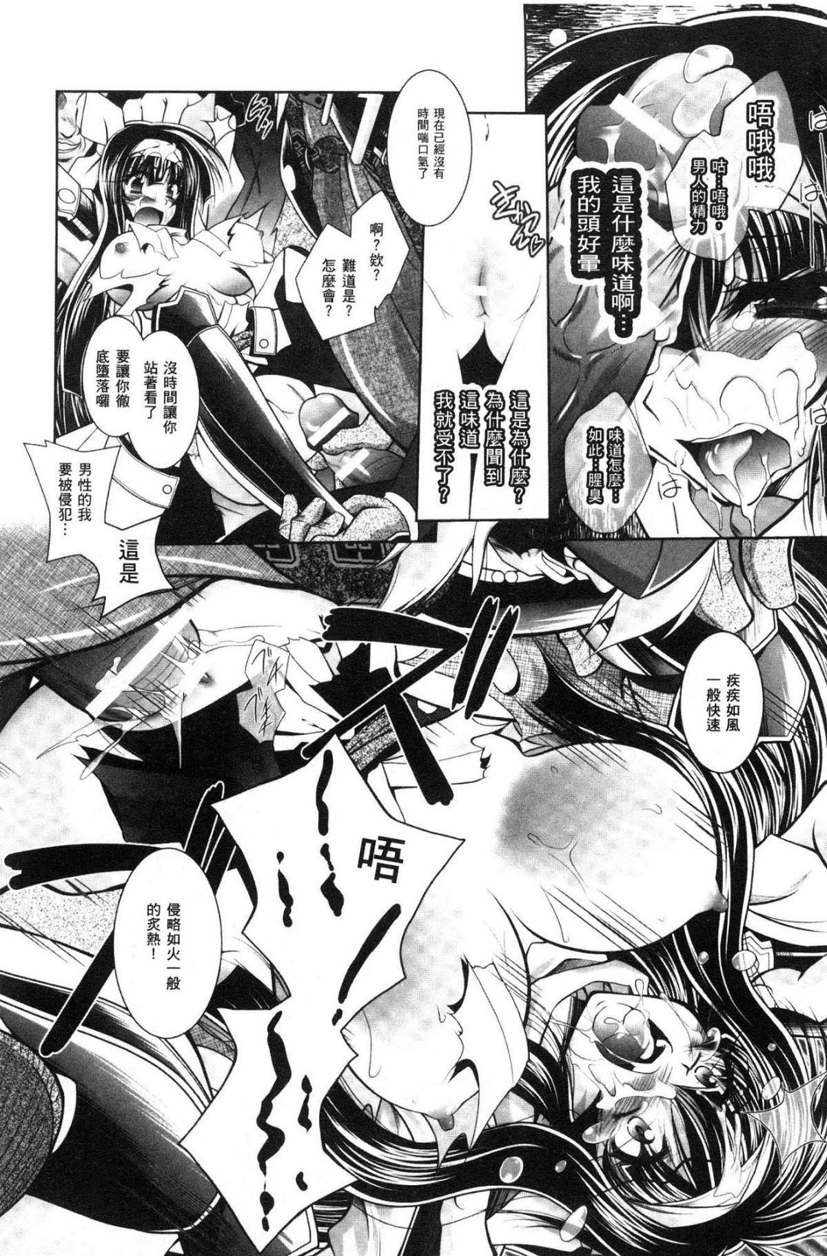 堕ちた正義-失墜聖技-