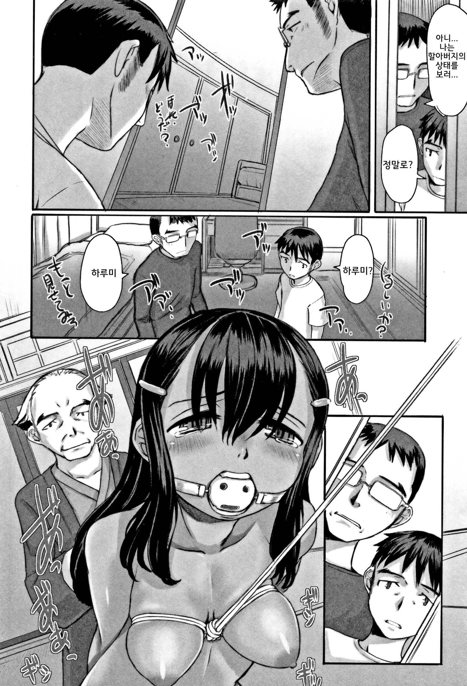 ヒミツドロップス| 비밀