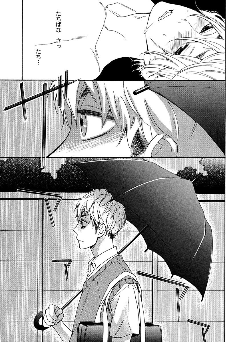 傘の下、ふたり-傘の下、あなたと。