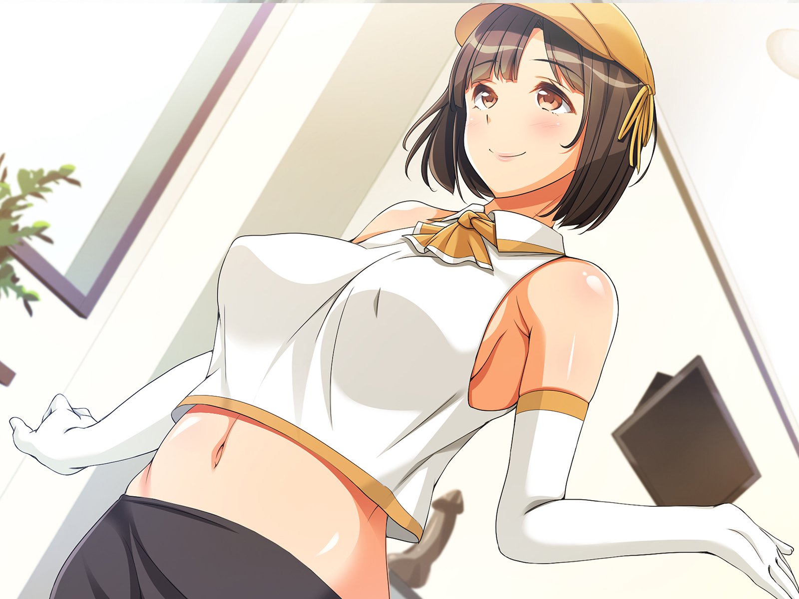タネツケランド!! 〜はめほうだいではらませほうだいなテーマパークと妖光そう！〜