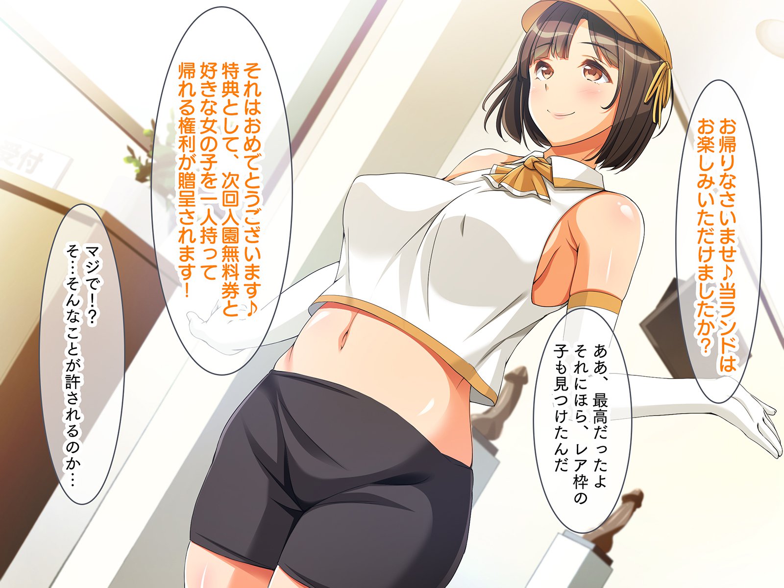 タネツケランド!! 〜はめほうだいではらませほうだいなテーマパークと妖光そう！〜