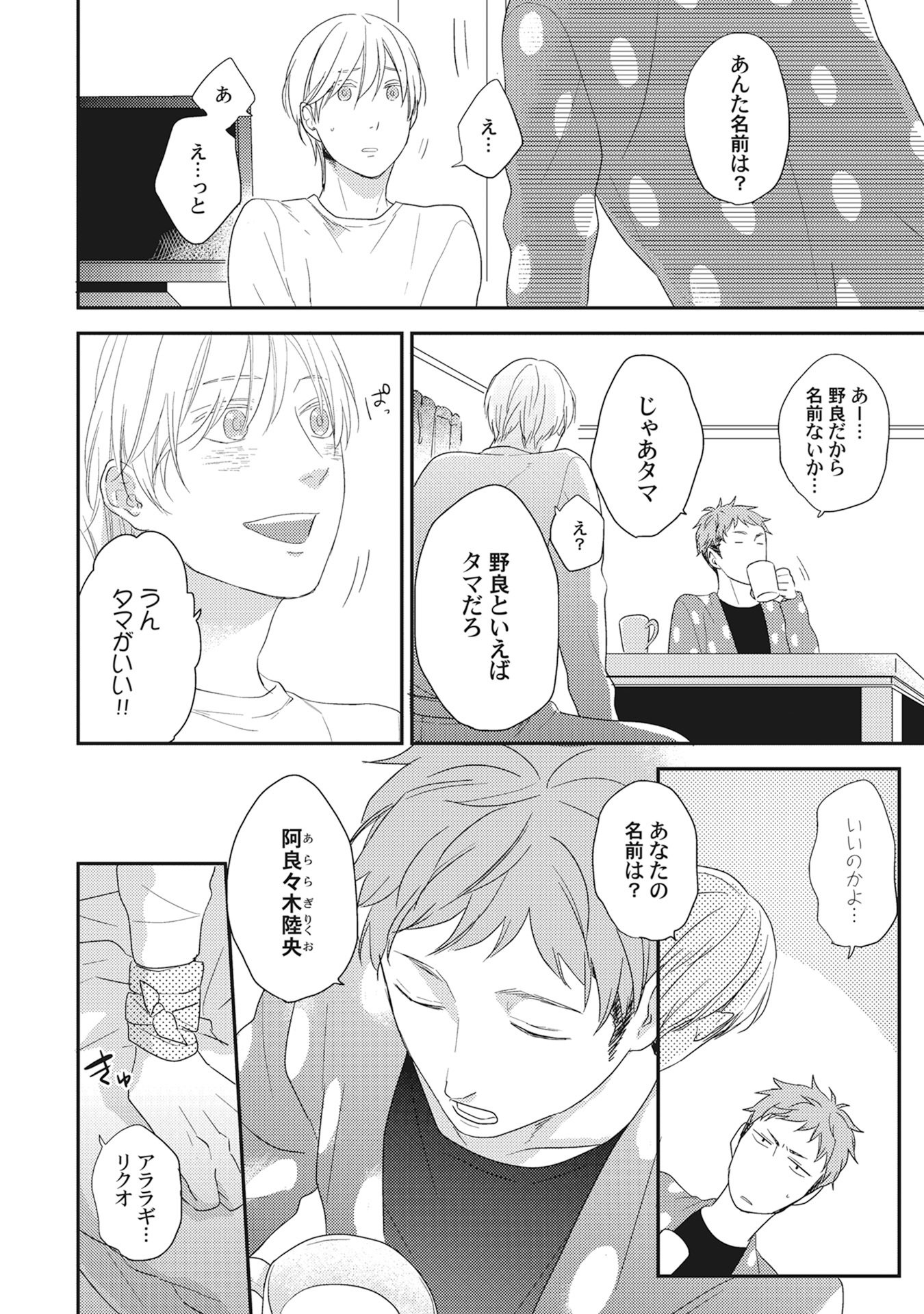 きまぐれ御州人から押掛猫