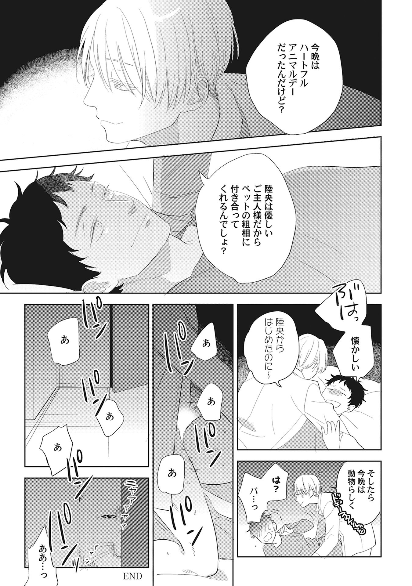 きまぐれ御州人から押掛猫