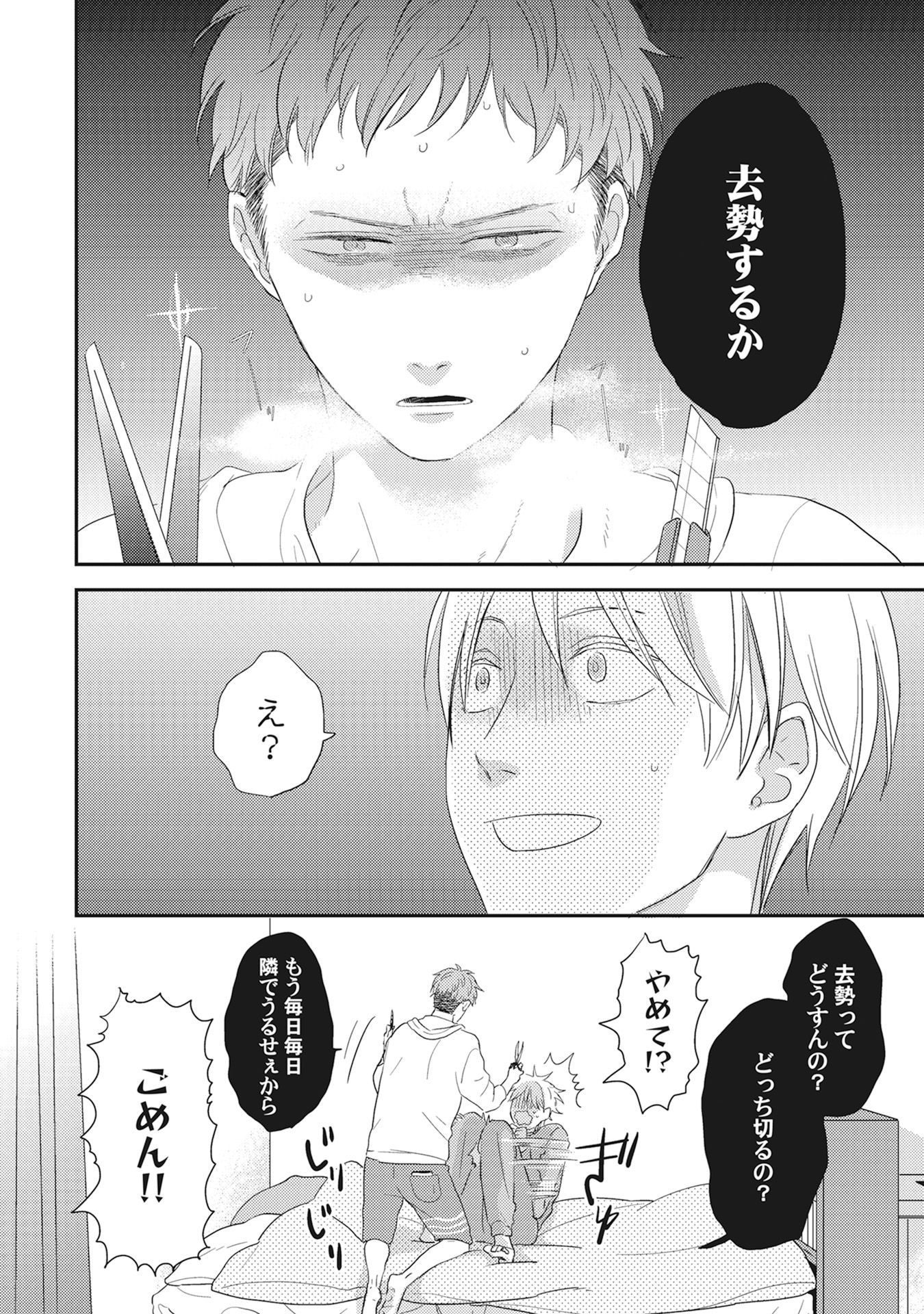 きまぐれ御州人から押掛猫