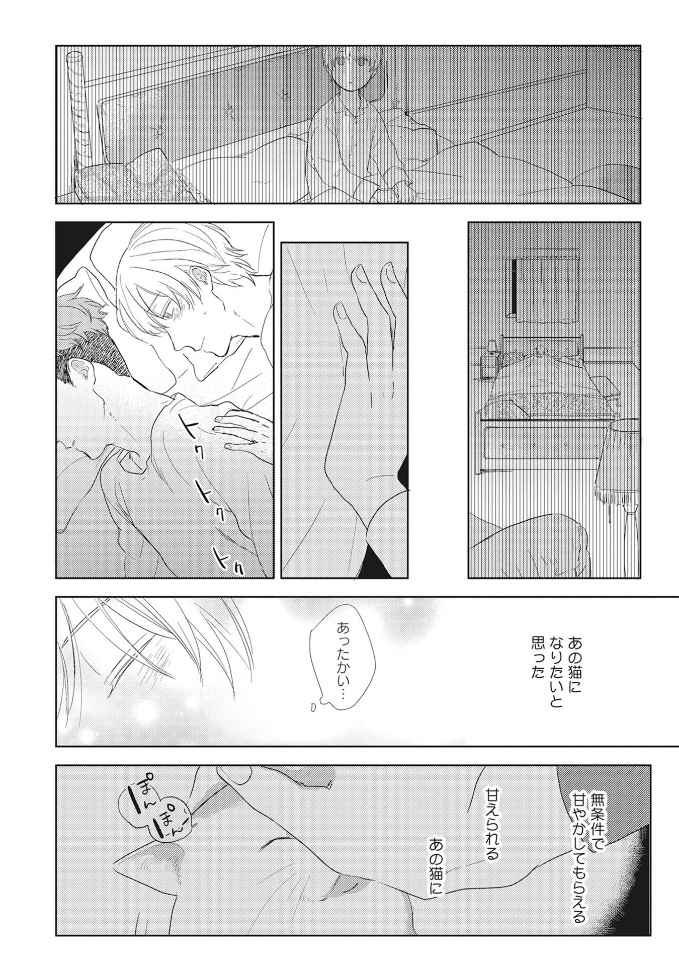 きまぐれ御州人から押掛猫