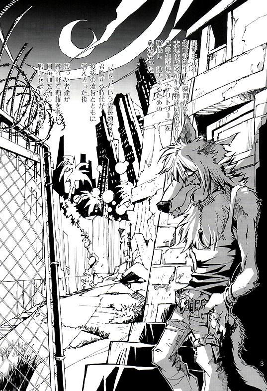 ワイルドレッグ01 ワイルドレッグ01