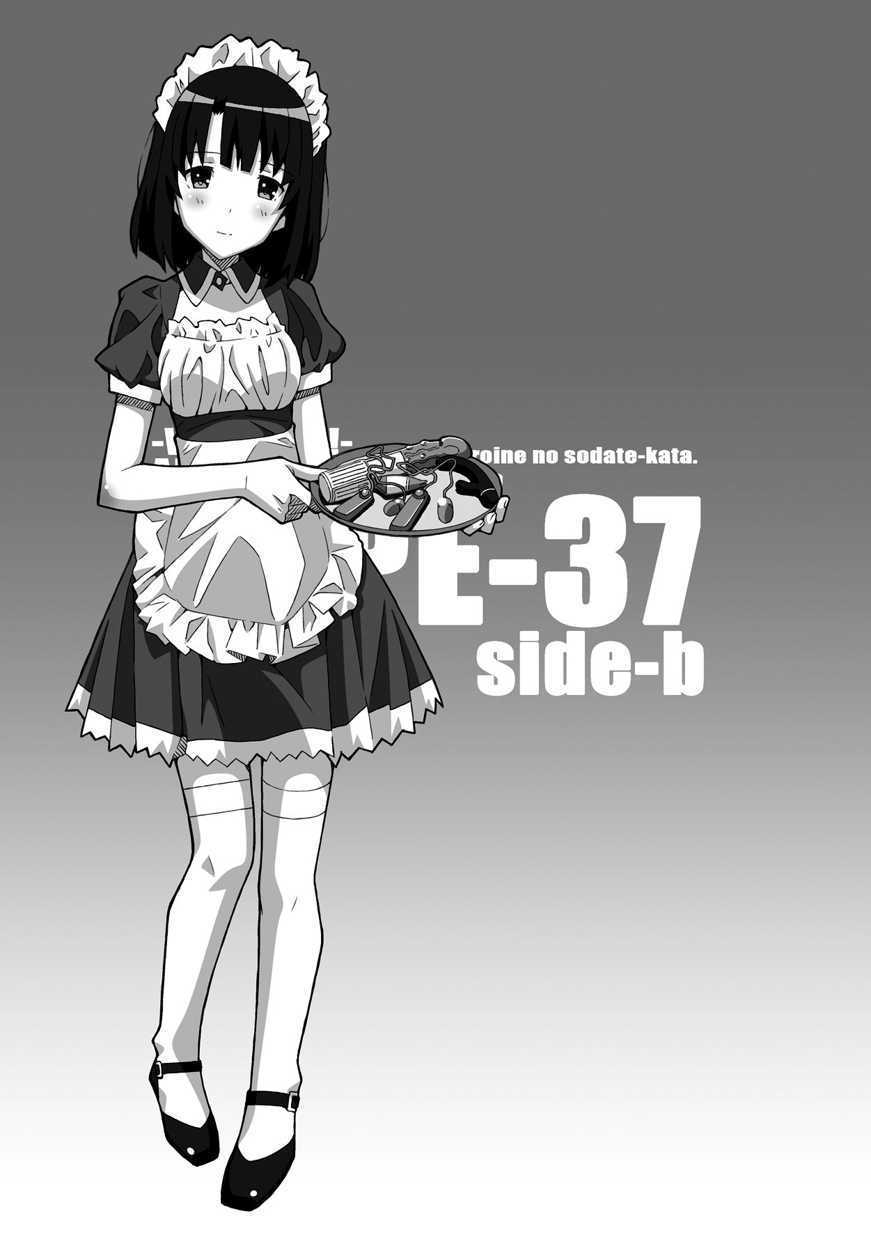 TYPE-37サイドb