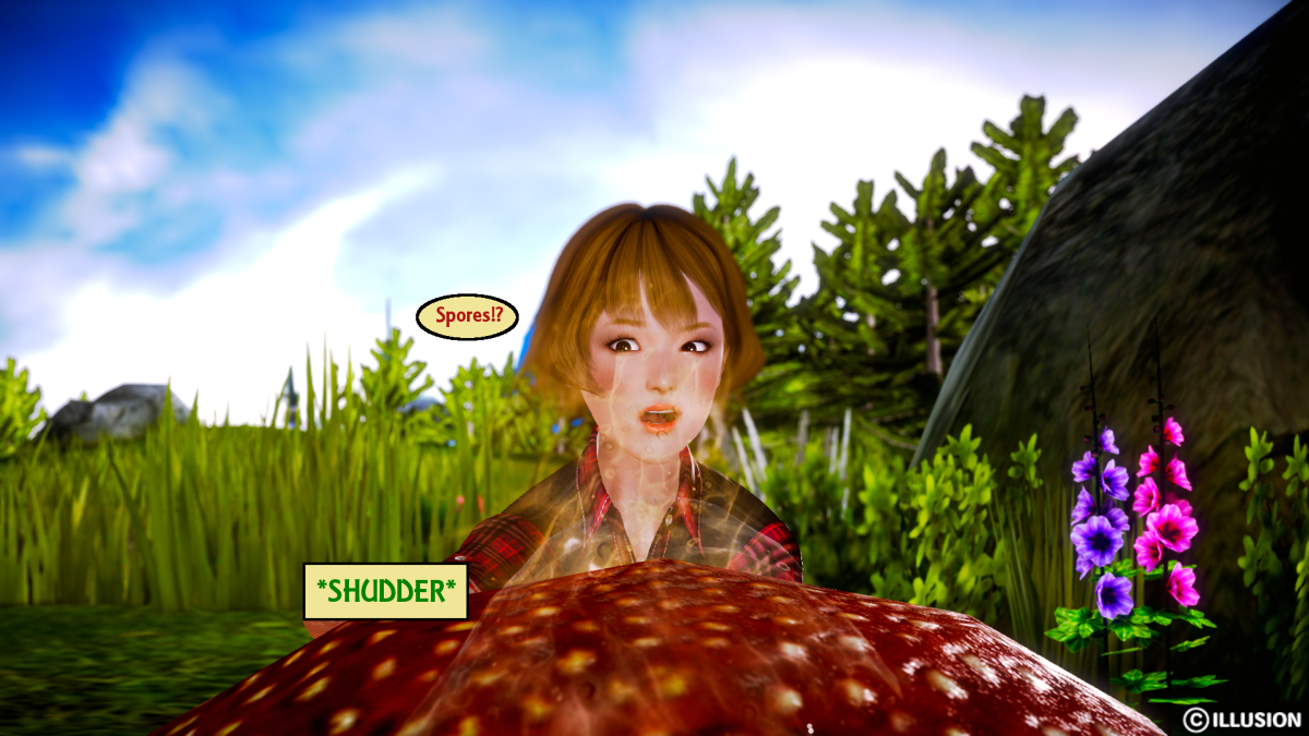 冬虫夏草 冬虫夏草