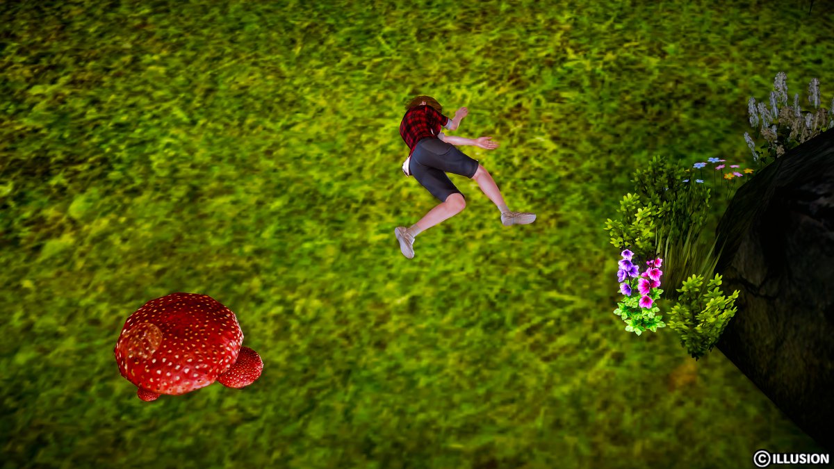 冬虫夏草 冬虫夏草