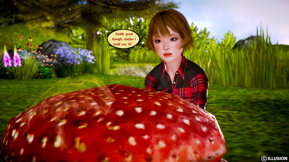 冬虫夏草 冬虫夏草