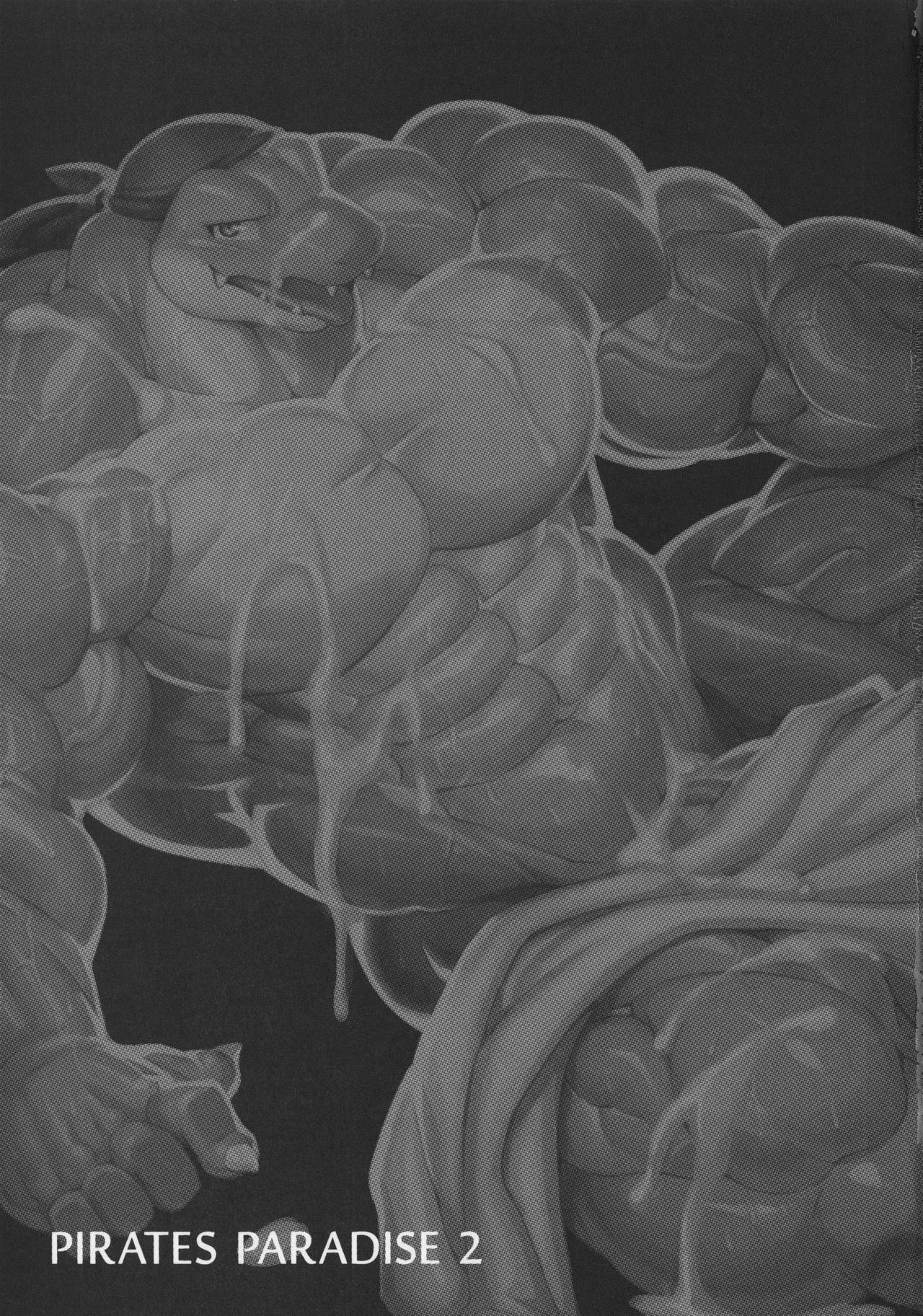 パイレーツパラダイス2