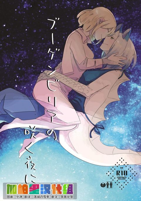 ブーゲンビリアの作夜に ブーゲンビリアの作夜に