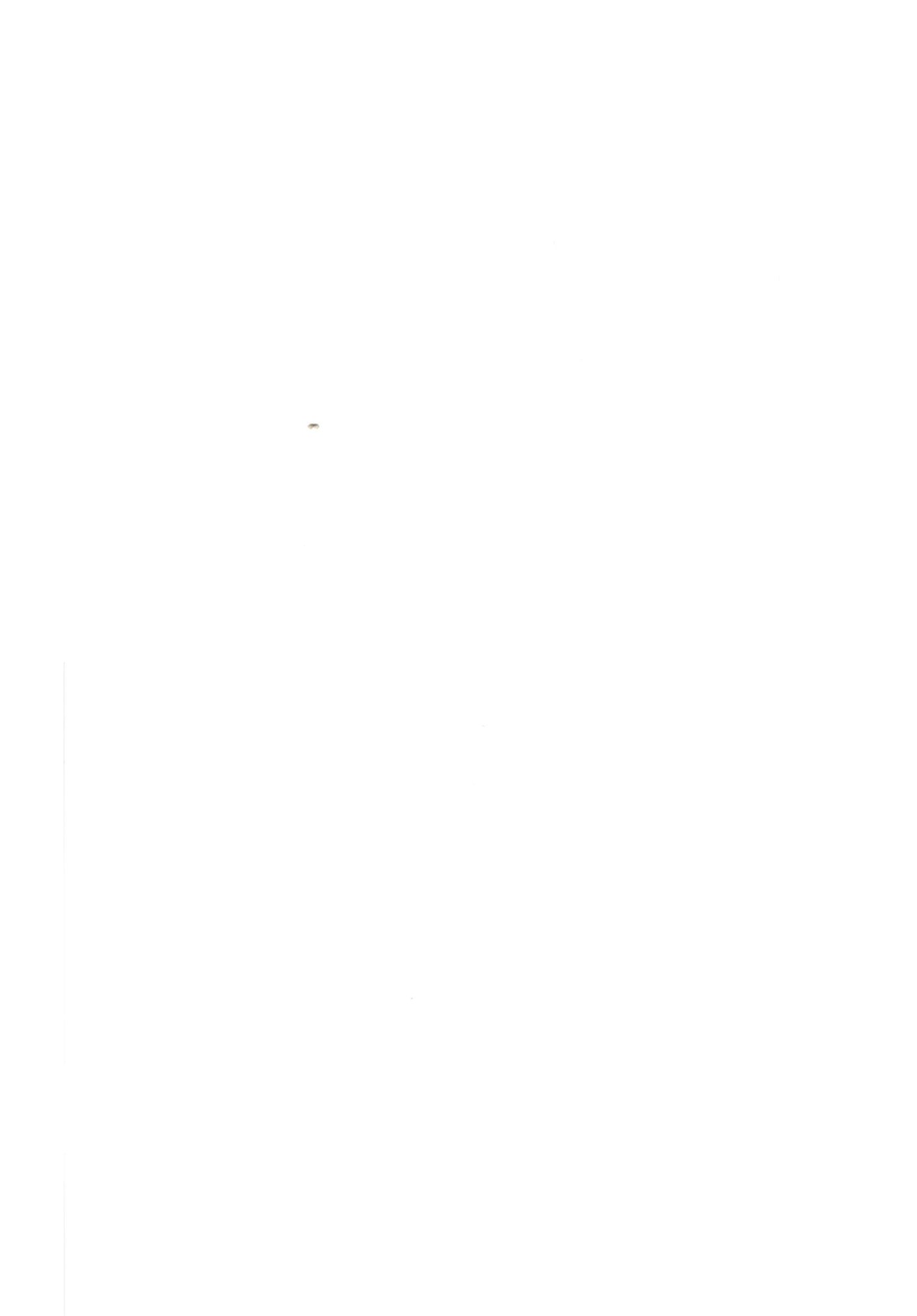 ふちょうの作世亮鳳| 부장의착정요법