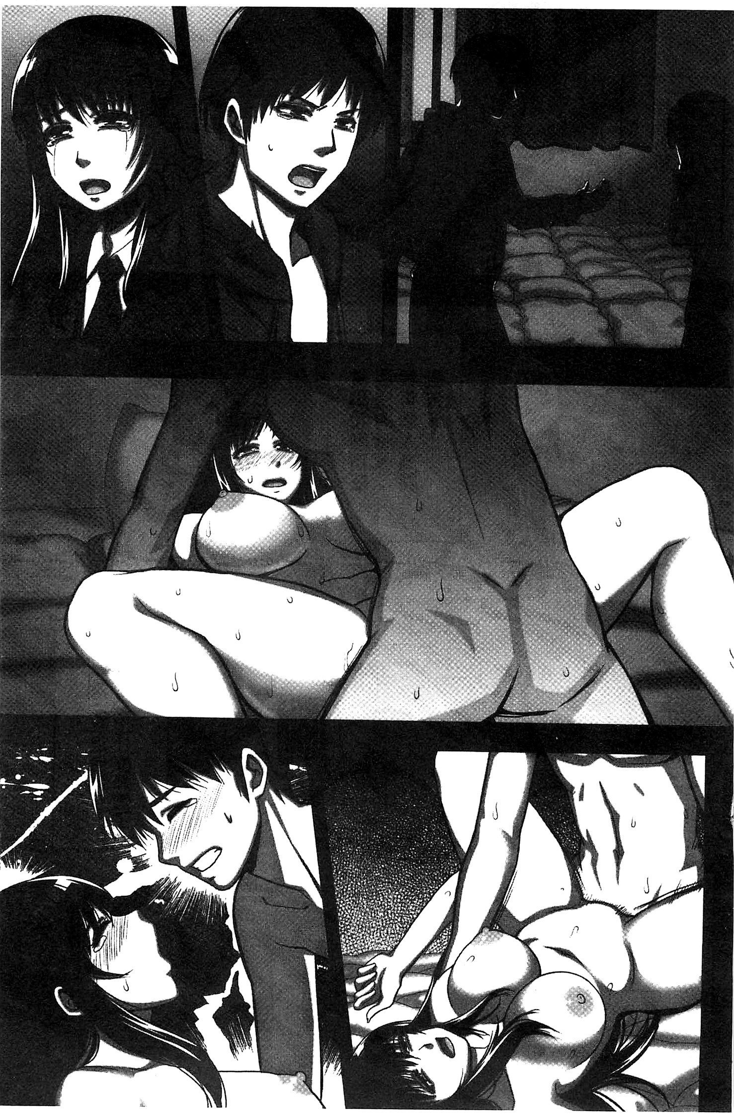 ちらされたじゅんきつ-じょうこうせい犬のほうかご