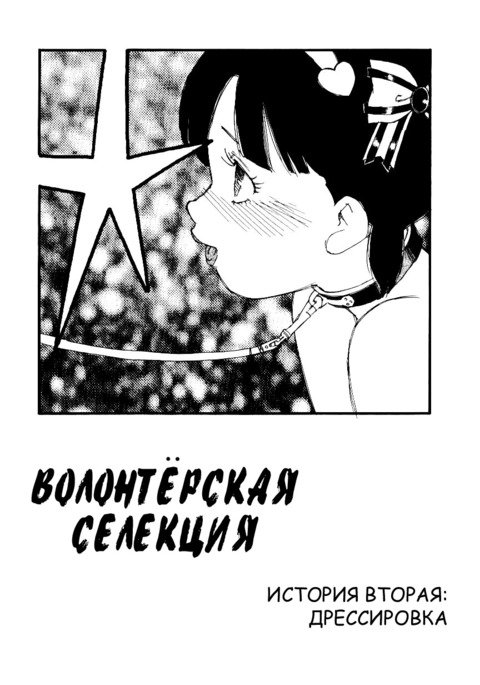キョウイク| Дрессировка キョウイク| Дрессировка