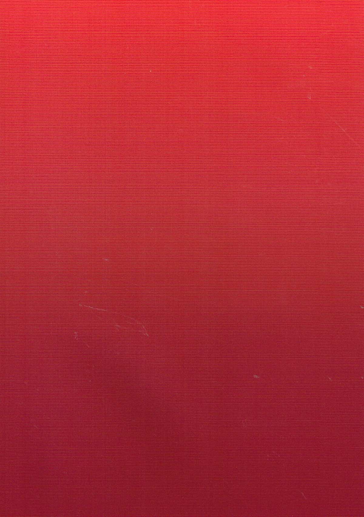 内の鴨井がうこちゃんぷころでつかい