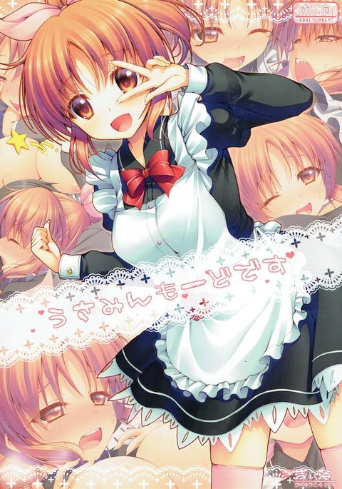 うさみんモードです うさみんモードです