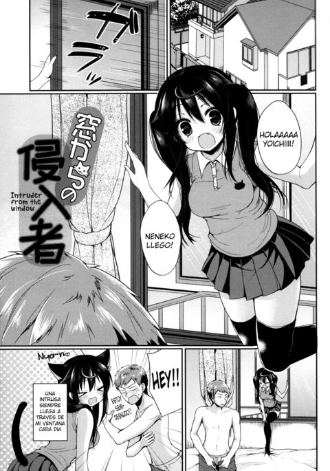 真堂からの新流社-窓からの侵入者 真堂からの新流社-窓からの侵入者