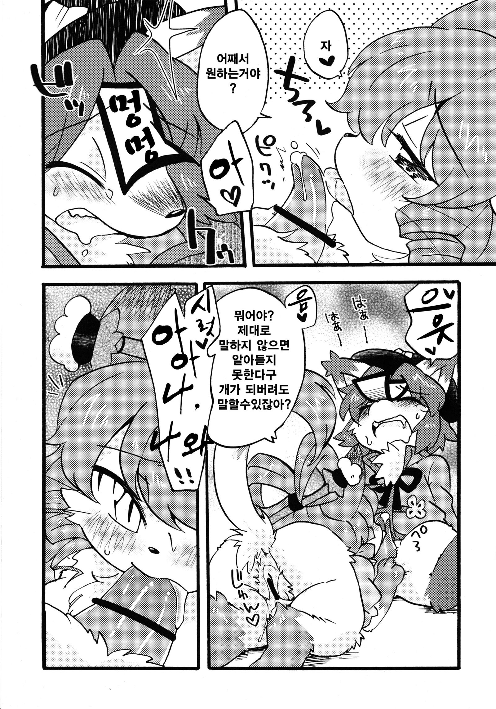 ドロリッチ| 도MgSO리치