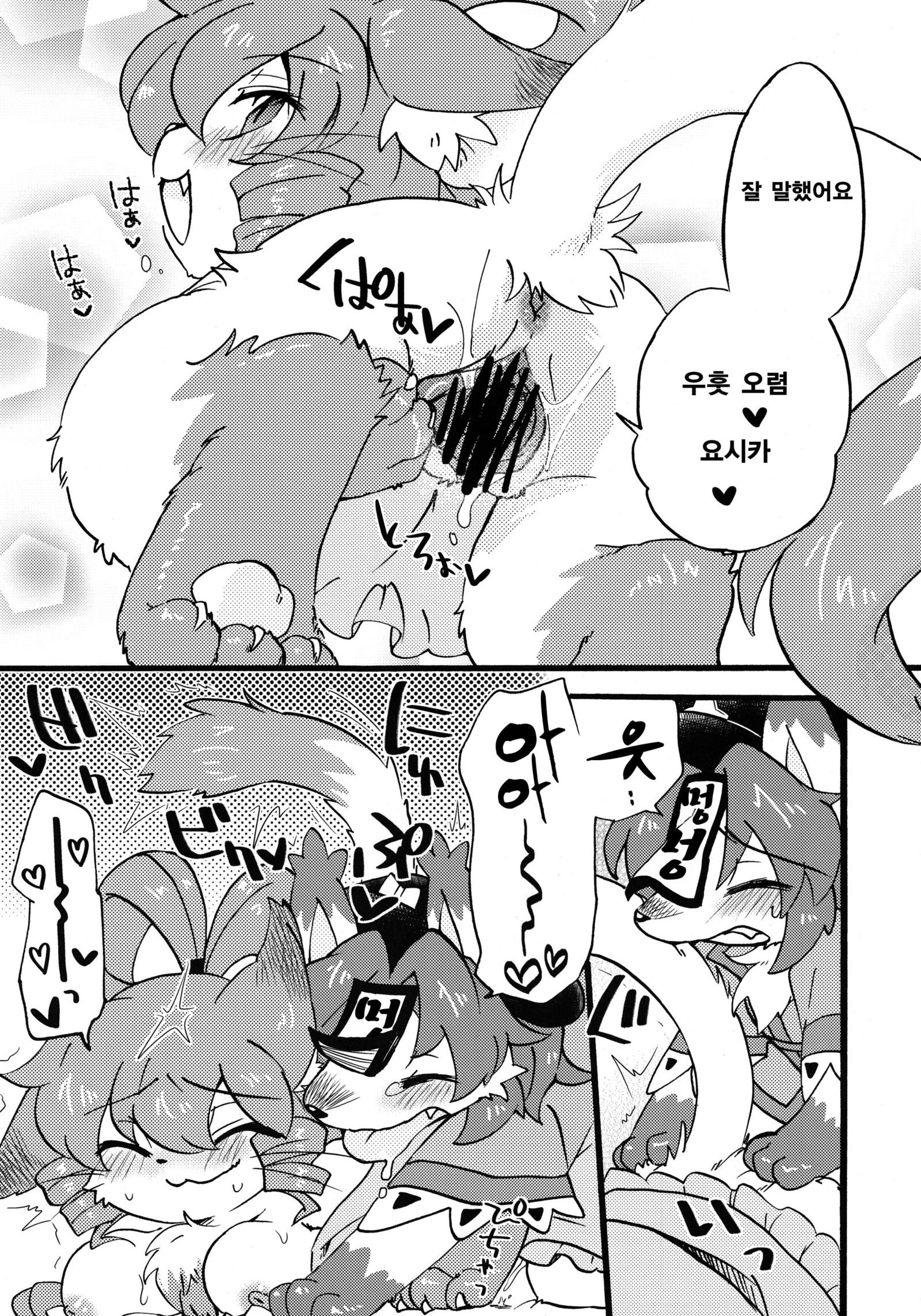 ドロリッチ| 도MgSO리치