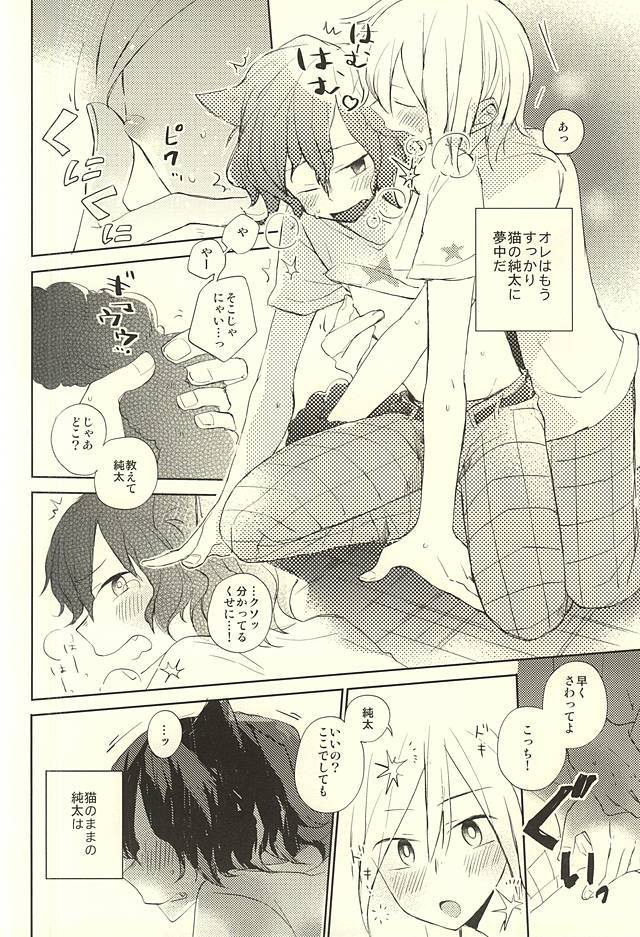 ネコでごめんニャ