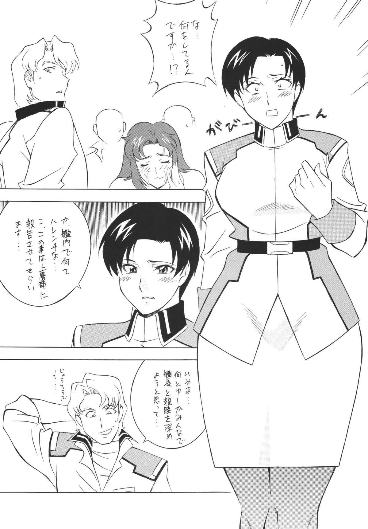 ネクストクライマックスマガジン14ガンダムシードのみ