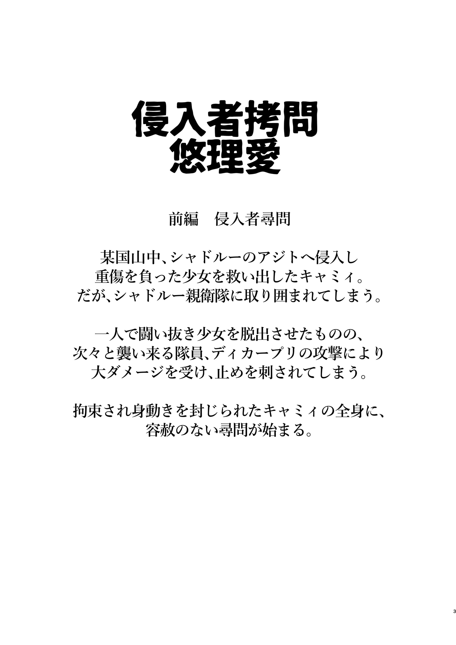 侵入者を苦しめる