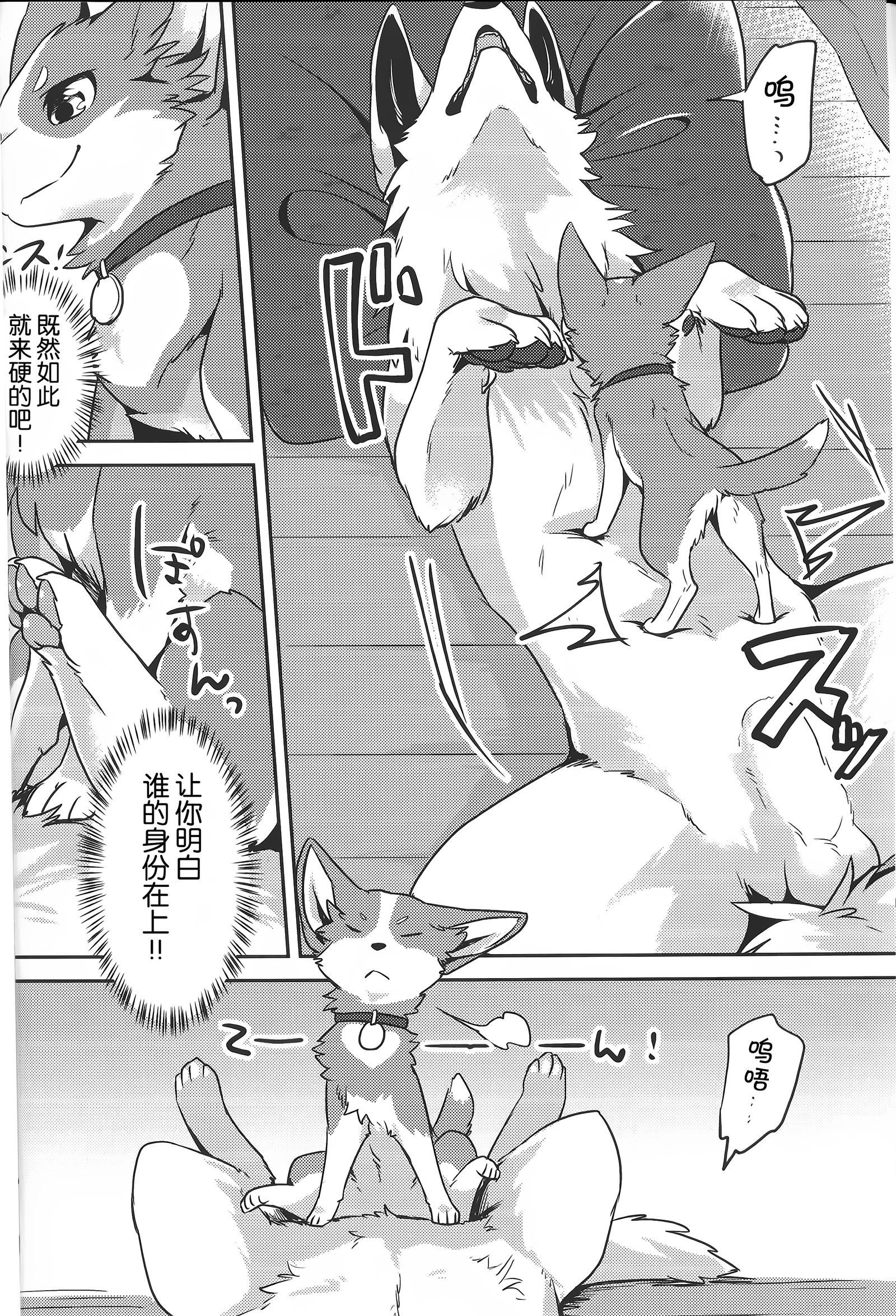 1DK、ぼくらと。 |恋人小公寓、与我俩。