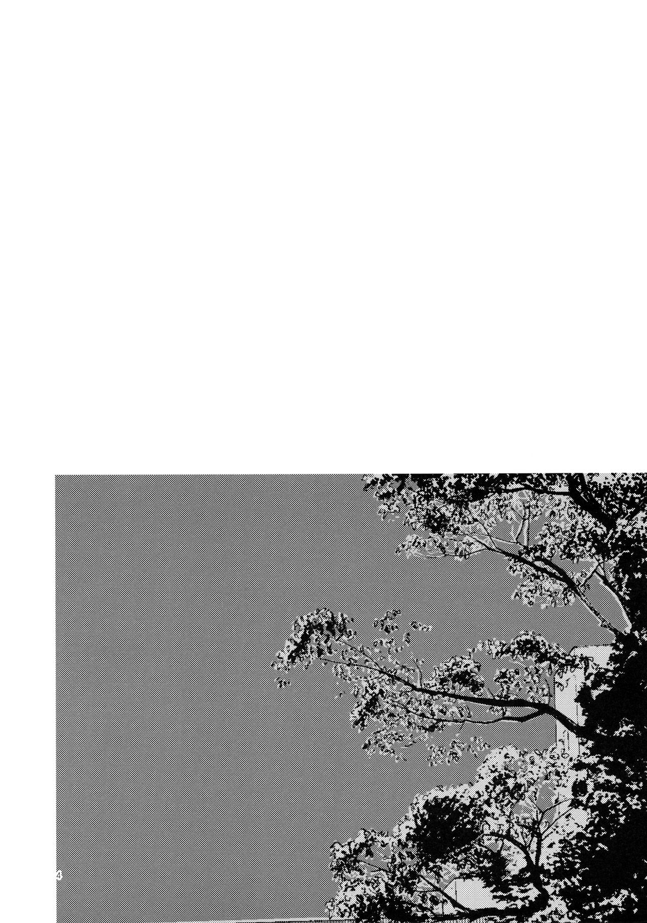 一生にねてもいいですか？ |一緒に寝てもいいですか