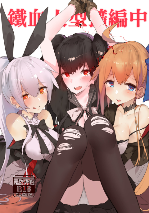 鐵血人型擴編中 鐵血人型擴編中