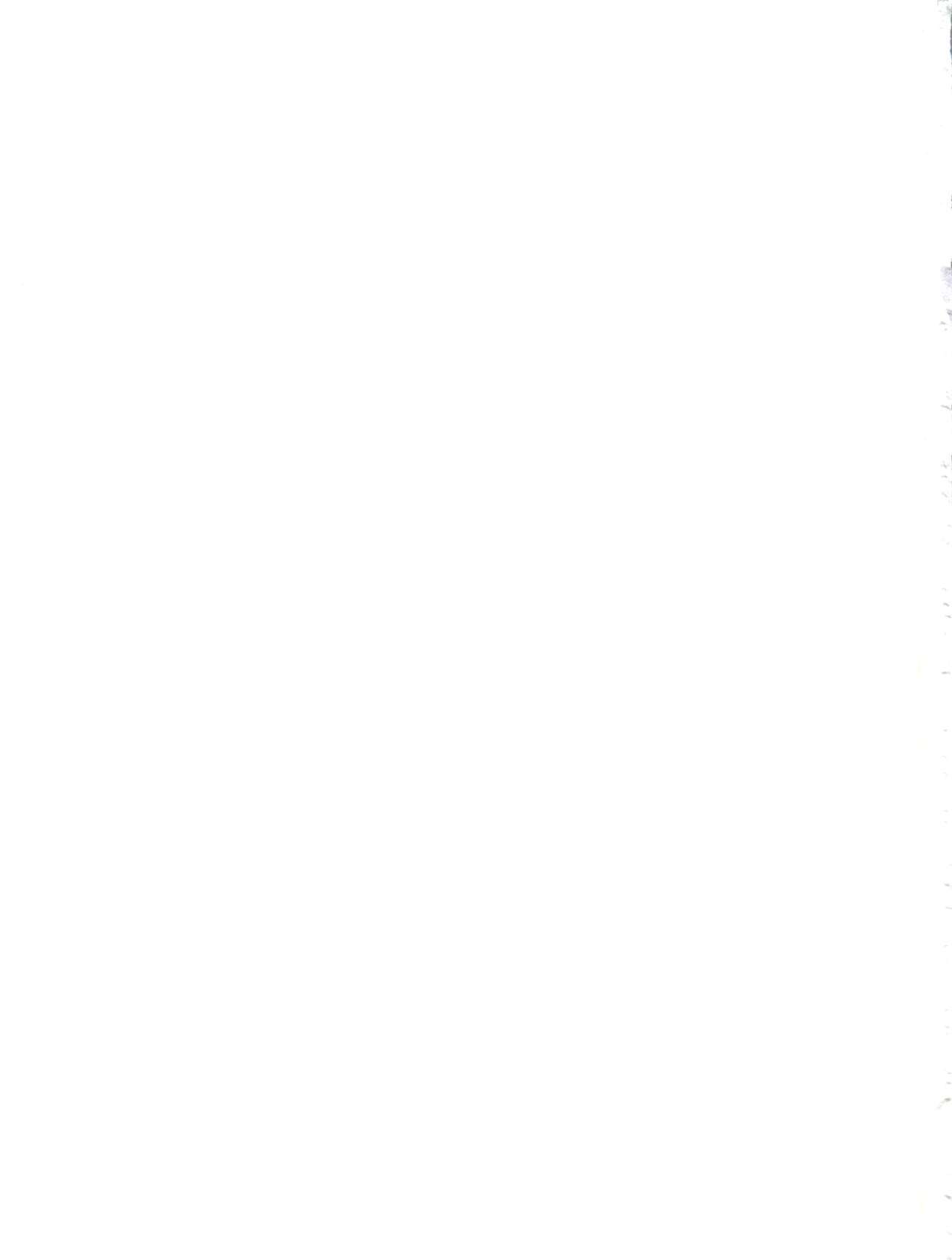 天地無双！インコウキ